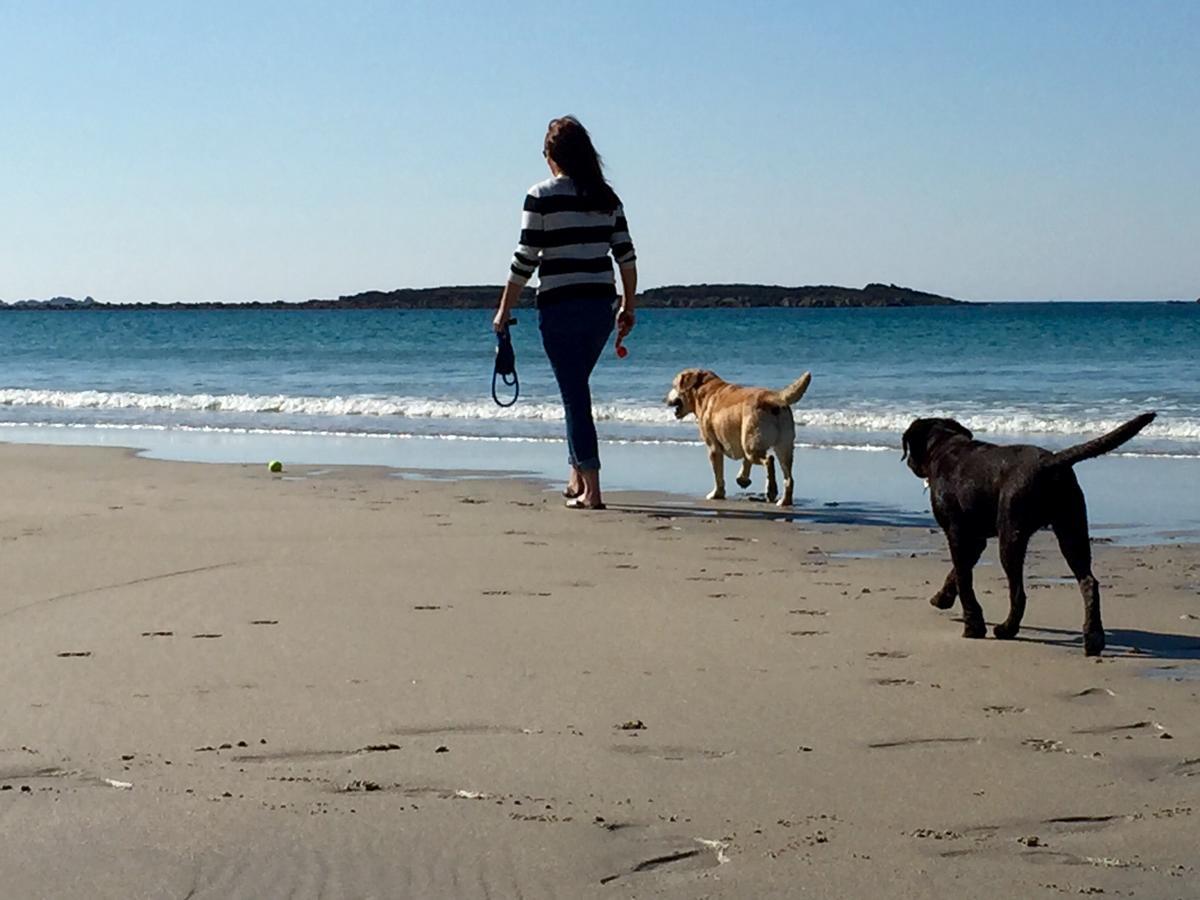 Roselands Caravan Park, Nr Lands End, Cornwall セント・ジャスト エクステリア 写真