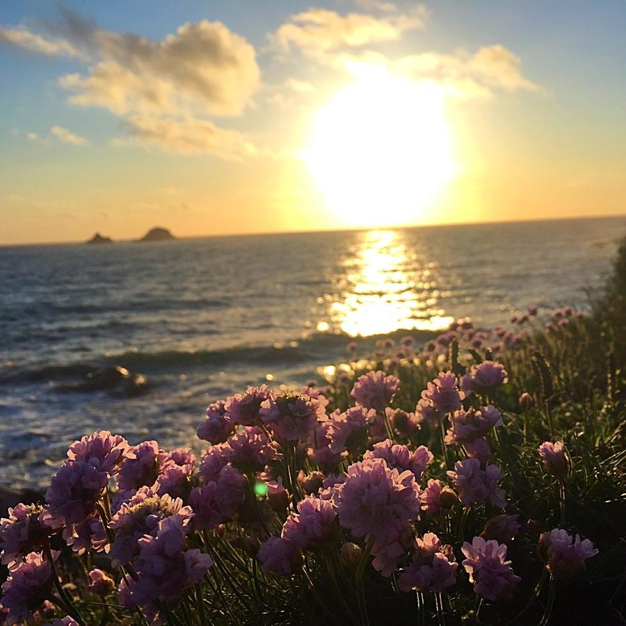 Roselands Caravan Park, Nr Lands End, Cornwall セント・ジャスト エクステリア 写真